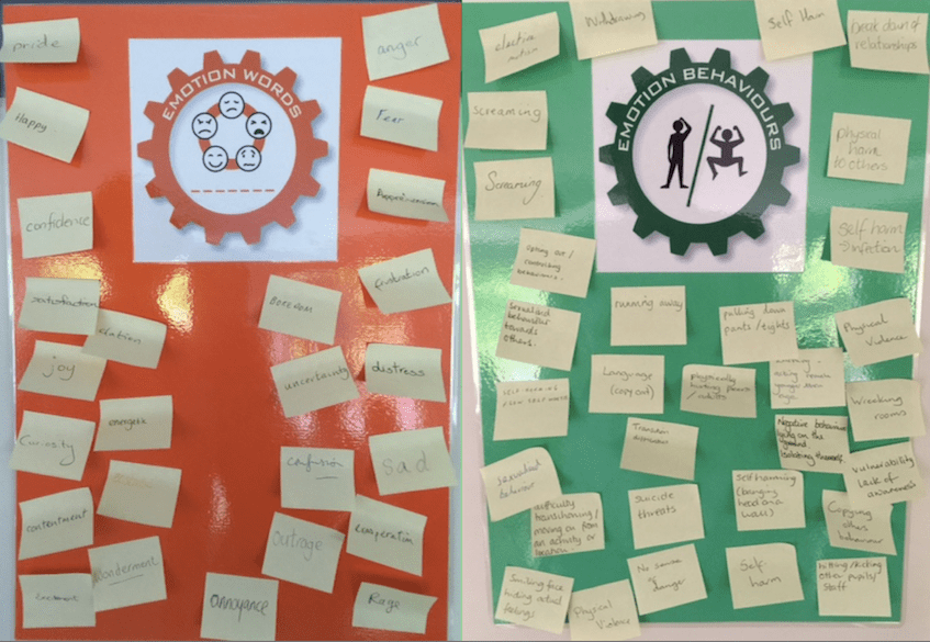 Training Session 1 practical activity - starting to unpack the behaviours we were concerned about and some possible underlying emotions
